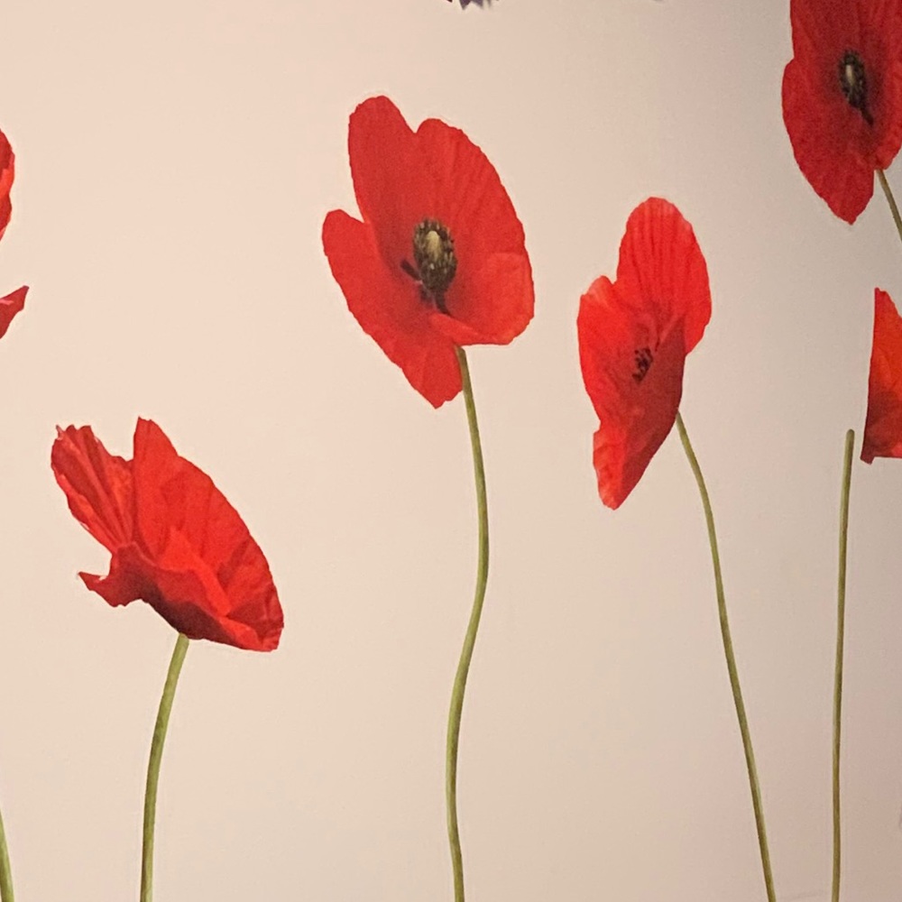 Meet your Posher, Daisy